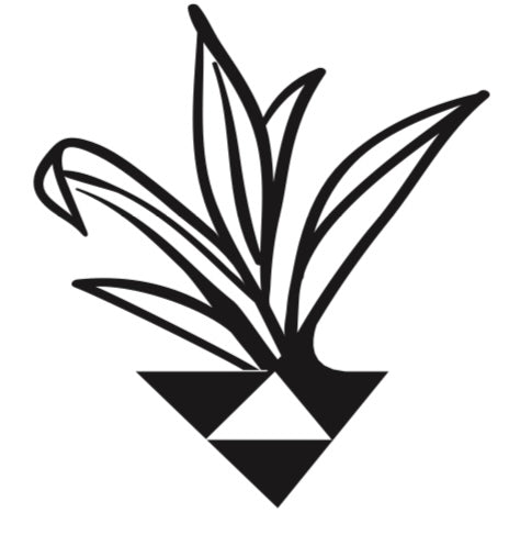 Ka'awaloa Merch